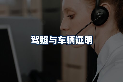 车辆证明展示