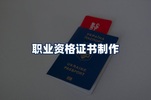 职业资格展示